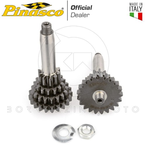 Pinasco racing gran sport - pinasco,